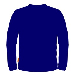 SUDADERA ENTRENAMIENTO AE SANT GREGORI