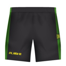 PANTALÓ DE PORTER VERD AE SANT GREGORI