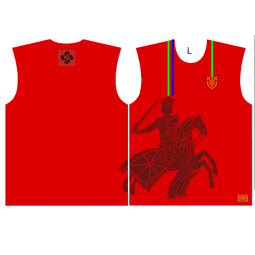 CAMISETA MODELO CABALLERO