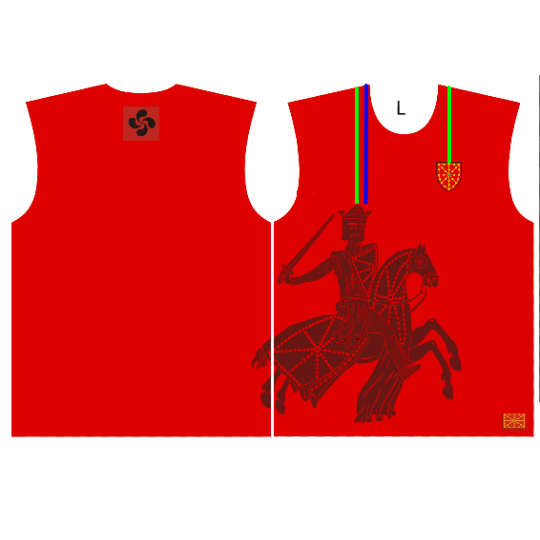 CAMISETA MODELO CABALLERO