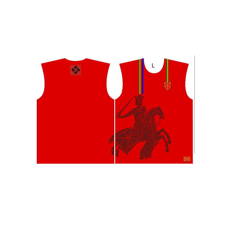 CAMISETA MODELO CABALLERO