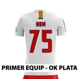 CAMISETA 2A EQUIPACIÓN GEIEG HOQUEI