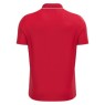 POLO GEIEG MACRON DRACO HERO COLOR VERMELL/BLANC