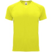 COLOR 221