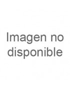 CAMISETA USAP GEIEG